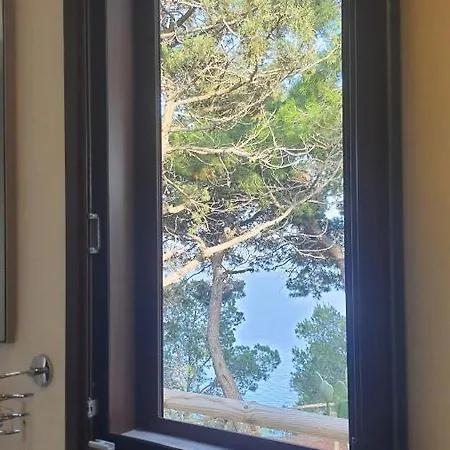 Sotto La Torre E Sopra Il Porticciolo * Isola di Ustica